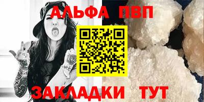 кокс Кингисепп