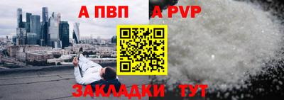 кокс Кингисепп