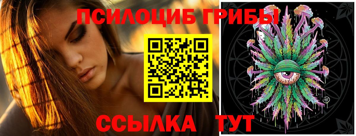 Псилоцибиновые грибы Cubensis  Псилоцибиновые грибы Psilocybe  Киселёвск  Вход с VPN 